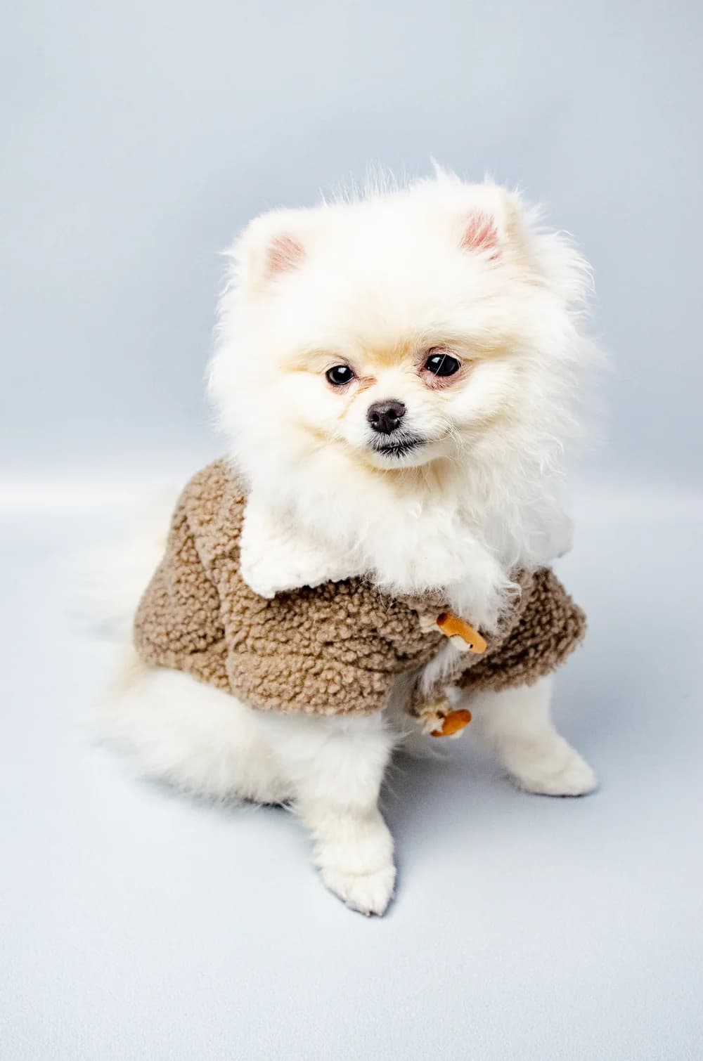 Куртка для собак хлопковая на пуговицах с мягким воротом XS