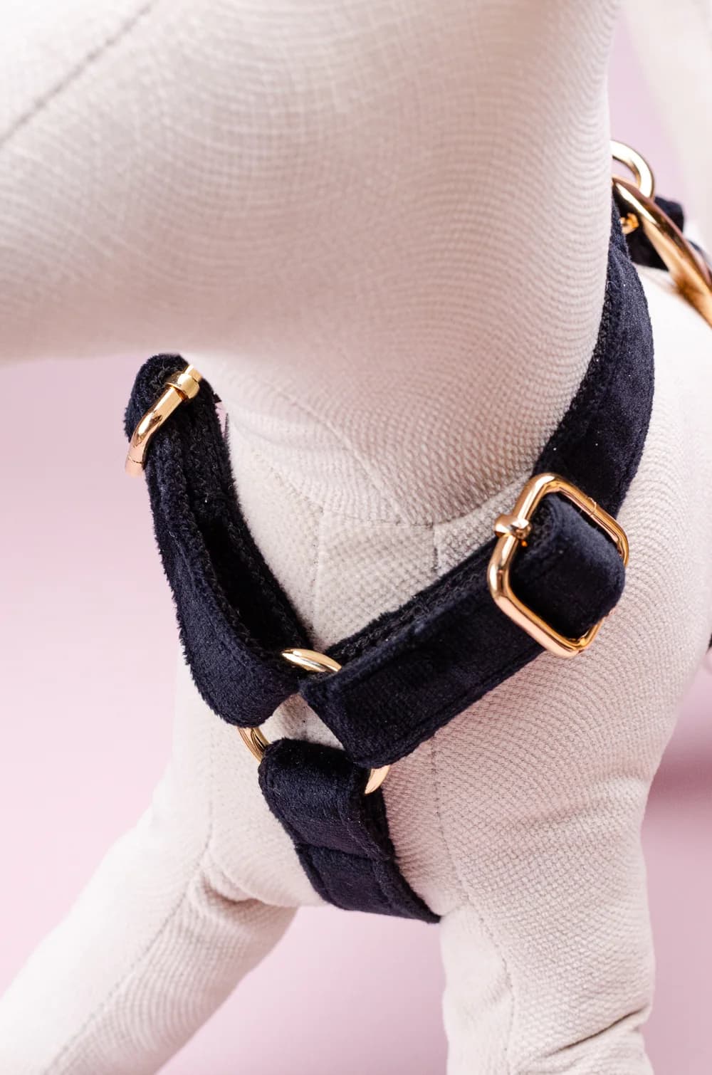 Комплект амуніції для собак шлейка + повідець 1.5м + нашийник + метелик XS (чорний колір, велюр)