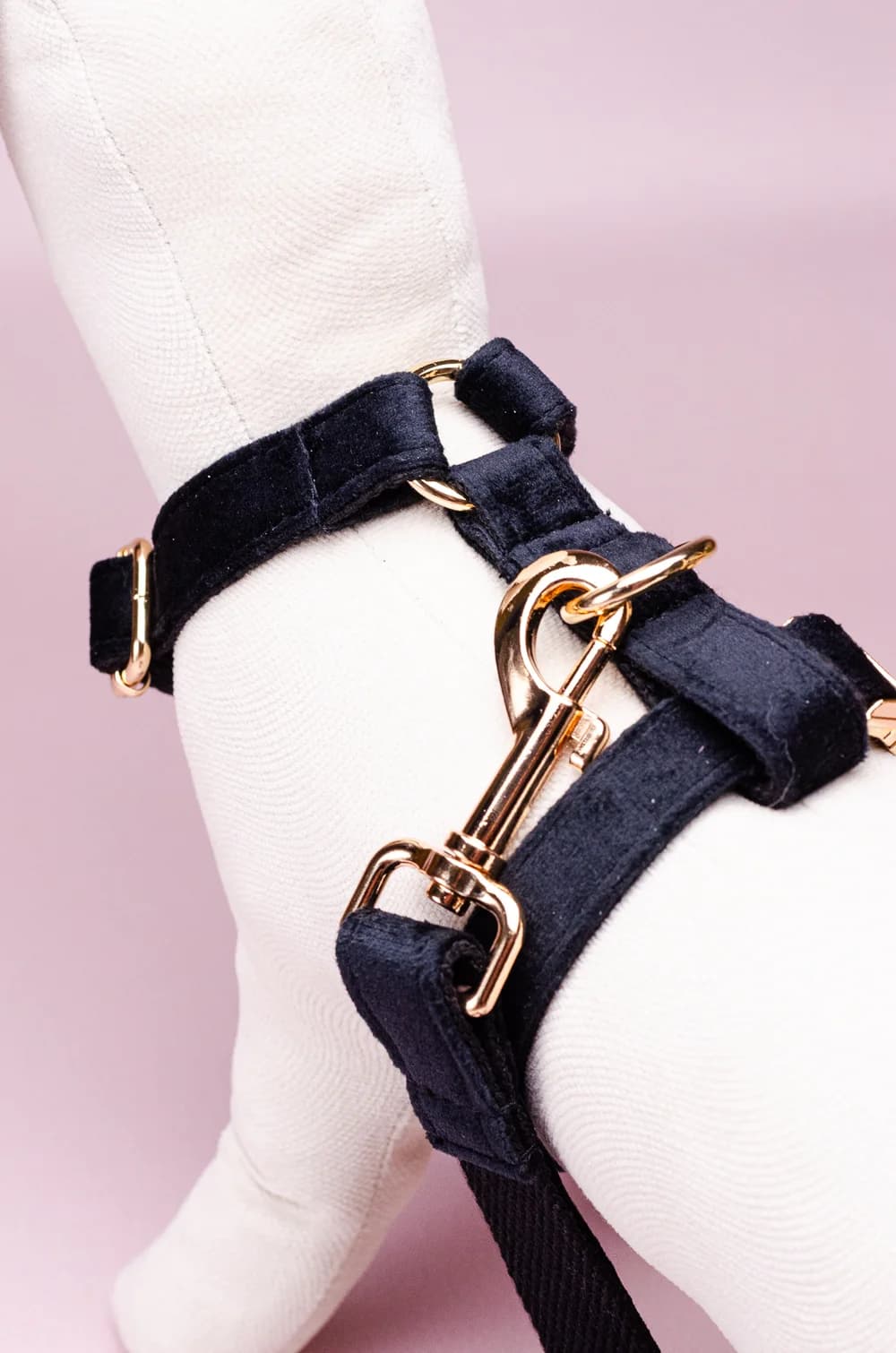 Комплект амуніції для собак шлейка + повідець 1.5м + нашийник + метелик XS (чорний колір, велюр)