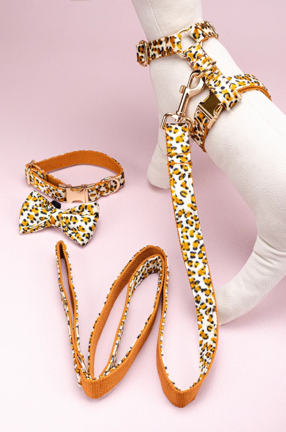 Комплект амуніції для собак шлейка + повідець 1.5м + нашийник + метелик XS (леопардовий принт, велюр)