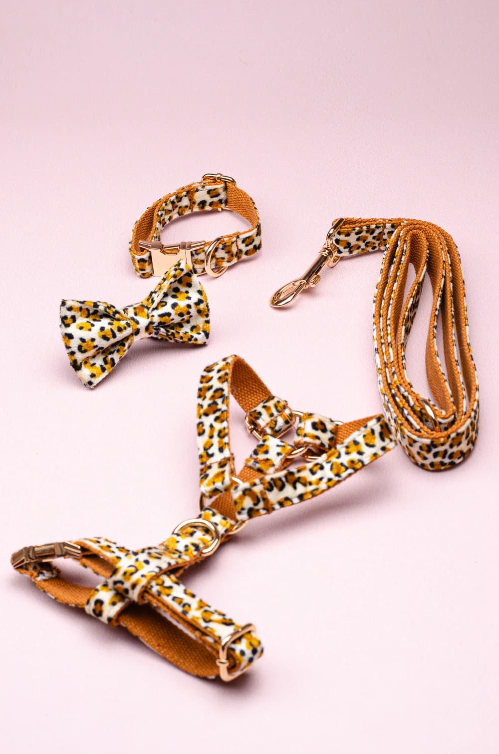 Комплект амуніції для собак шлейка + повідець 1.5м + нашийник + метелик XS (леопардовий принт, велюр)