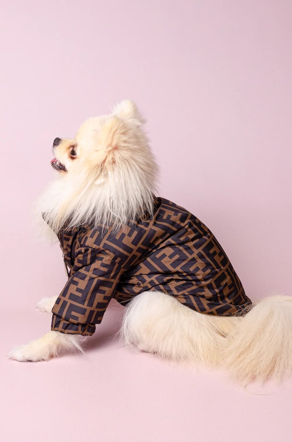 Куртка для собак Fendi с теплой подкладкой на застежке XS