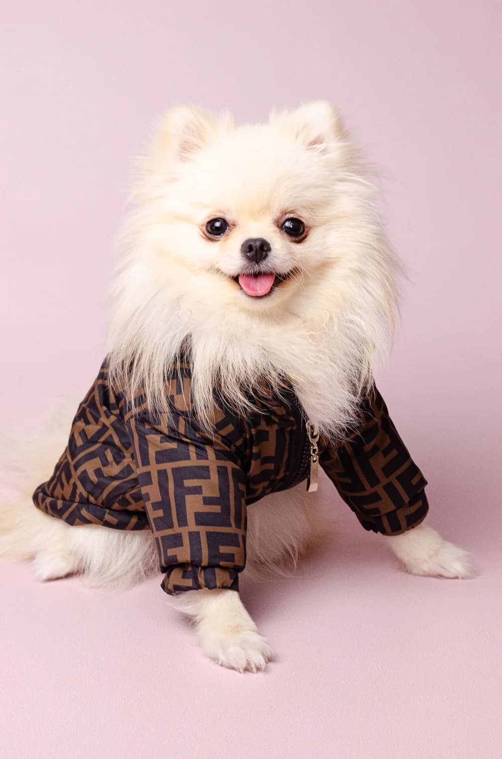 Куртка для собак Fendi с теплой подкладкой на застежке XS