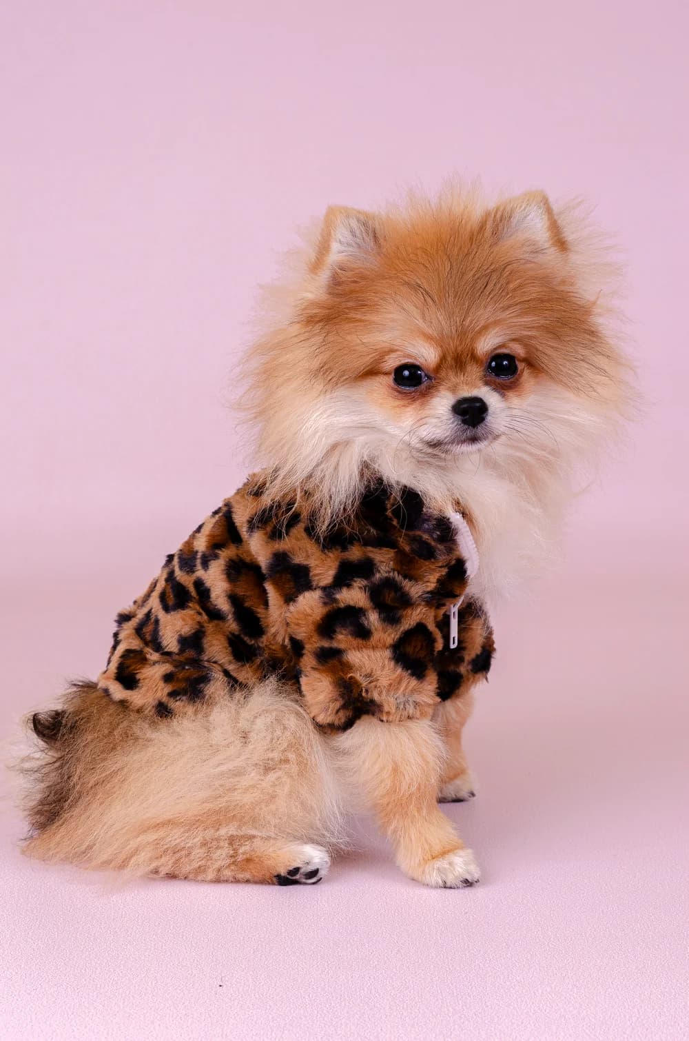 Леопардова шубка на блискавці XS