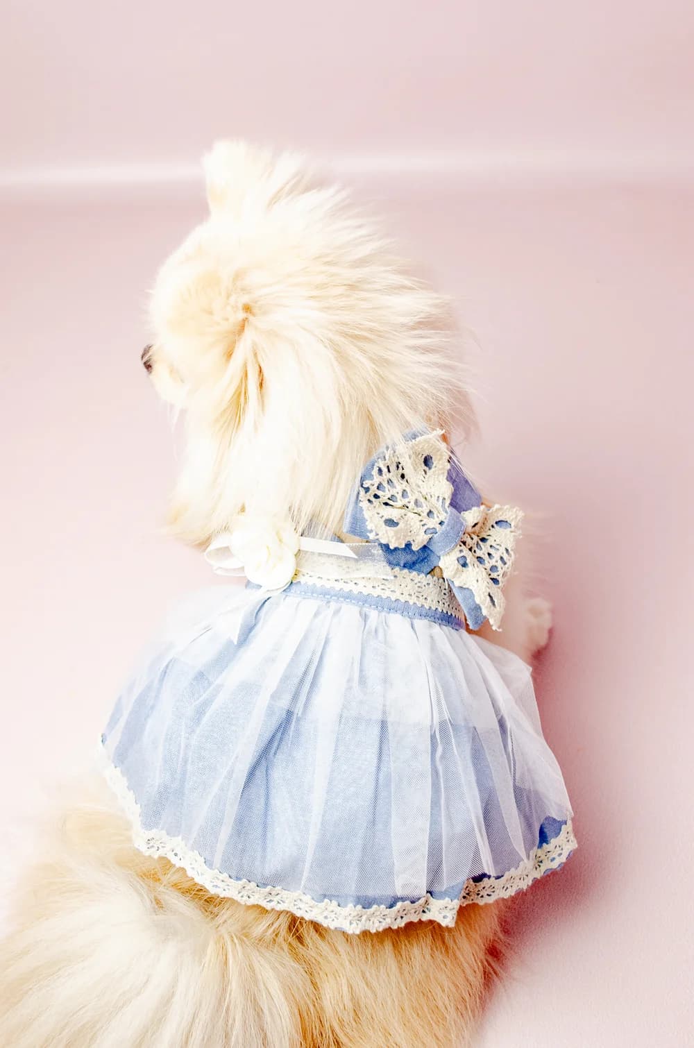 Платье для собак со съемными аксессуарами XS