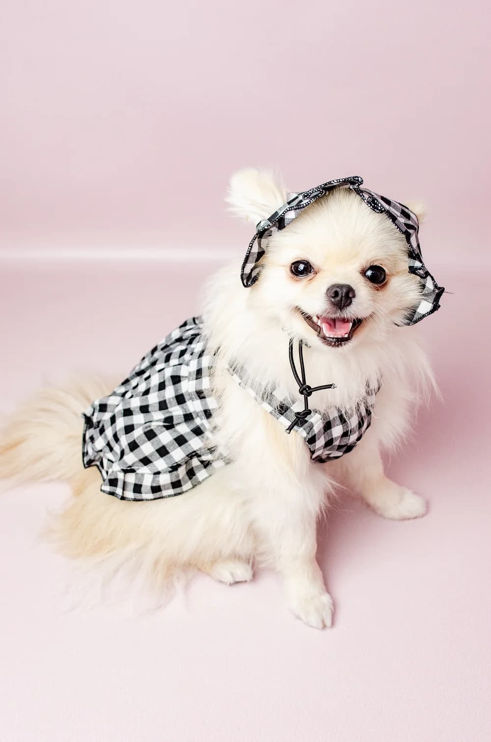 Літня чорна сукня для собак в клітинку з панамкою XS