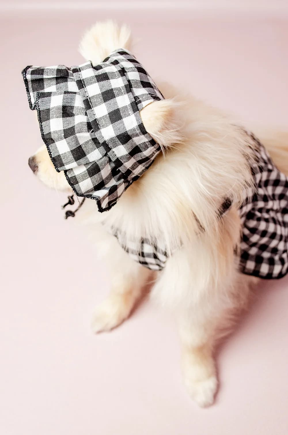 Літня чорна сукня для собак в клітинку з панамкою XS