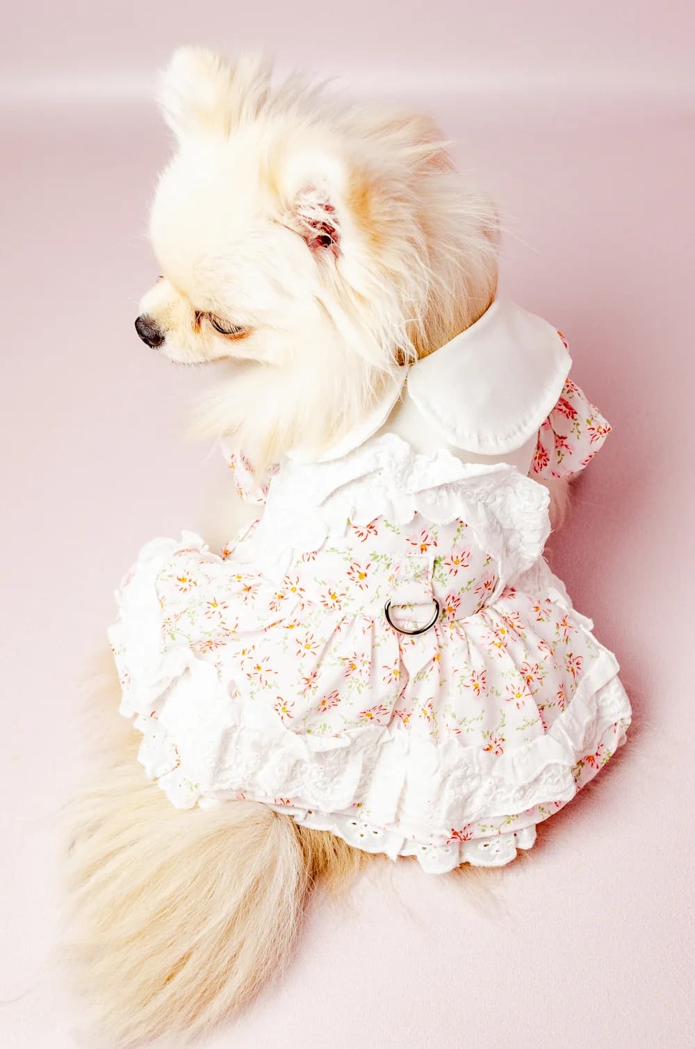 Платье для собак с рюшиками и кольцом для поводка XS