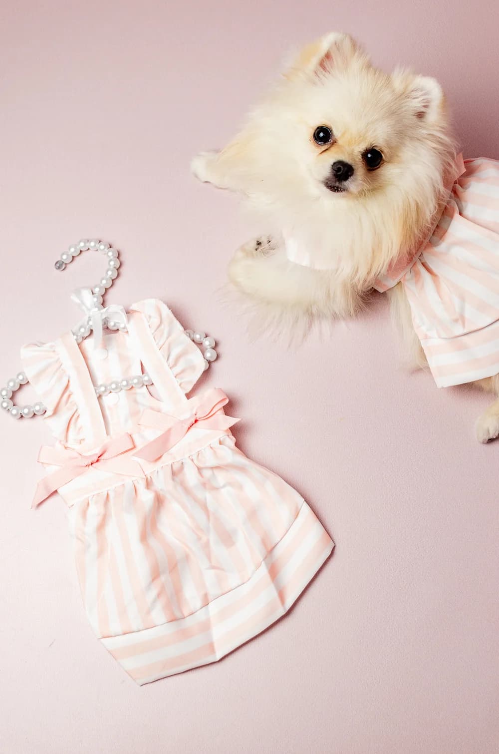 Сукня для собак літня з бантиками S