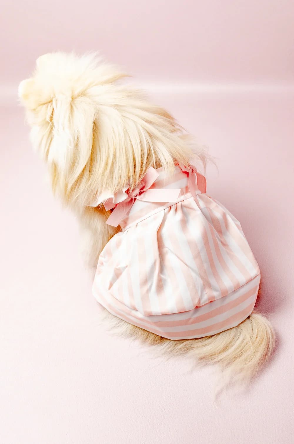 Сукня для собак літня з бантиками S