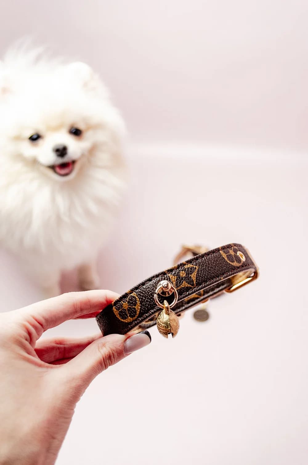 Ошейник для собак в стиле Louis Vuitton со звоночком XS (коричневый)