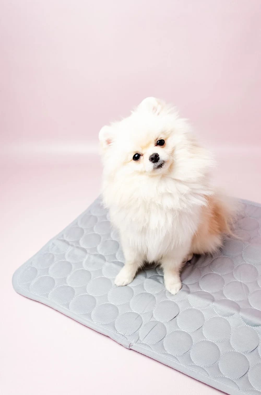 Охлаждающий коврик для собак S (серый, 50х40 см)