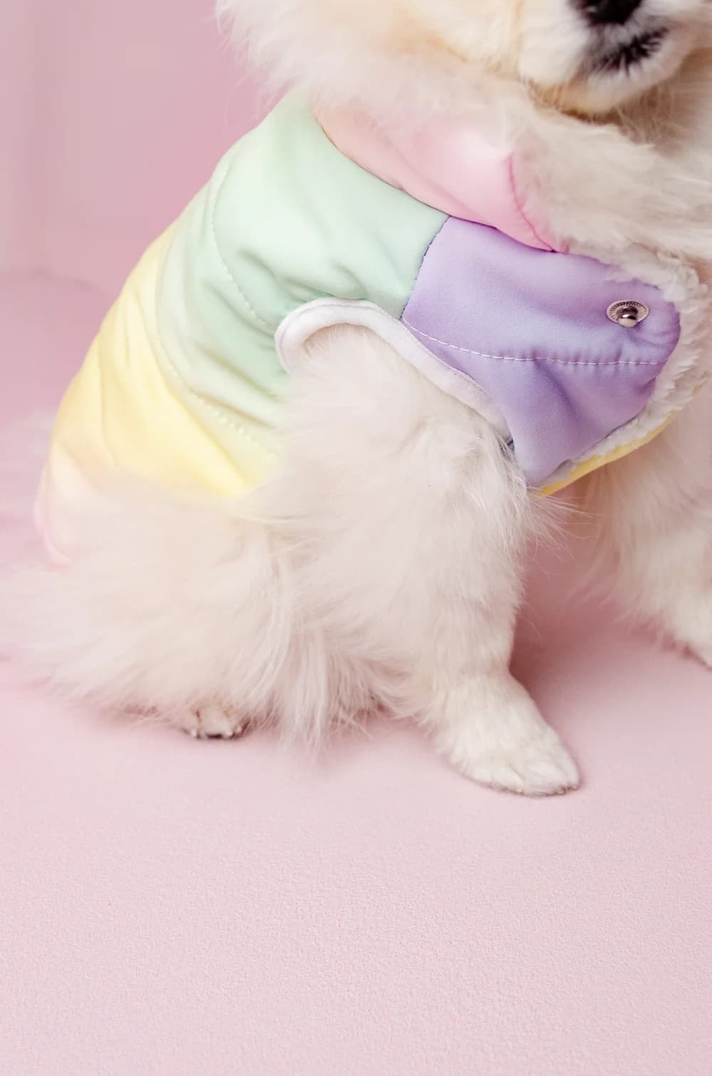 Жилетка для собак радужная S