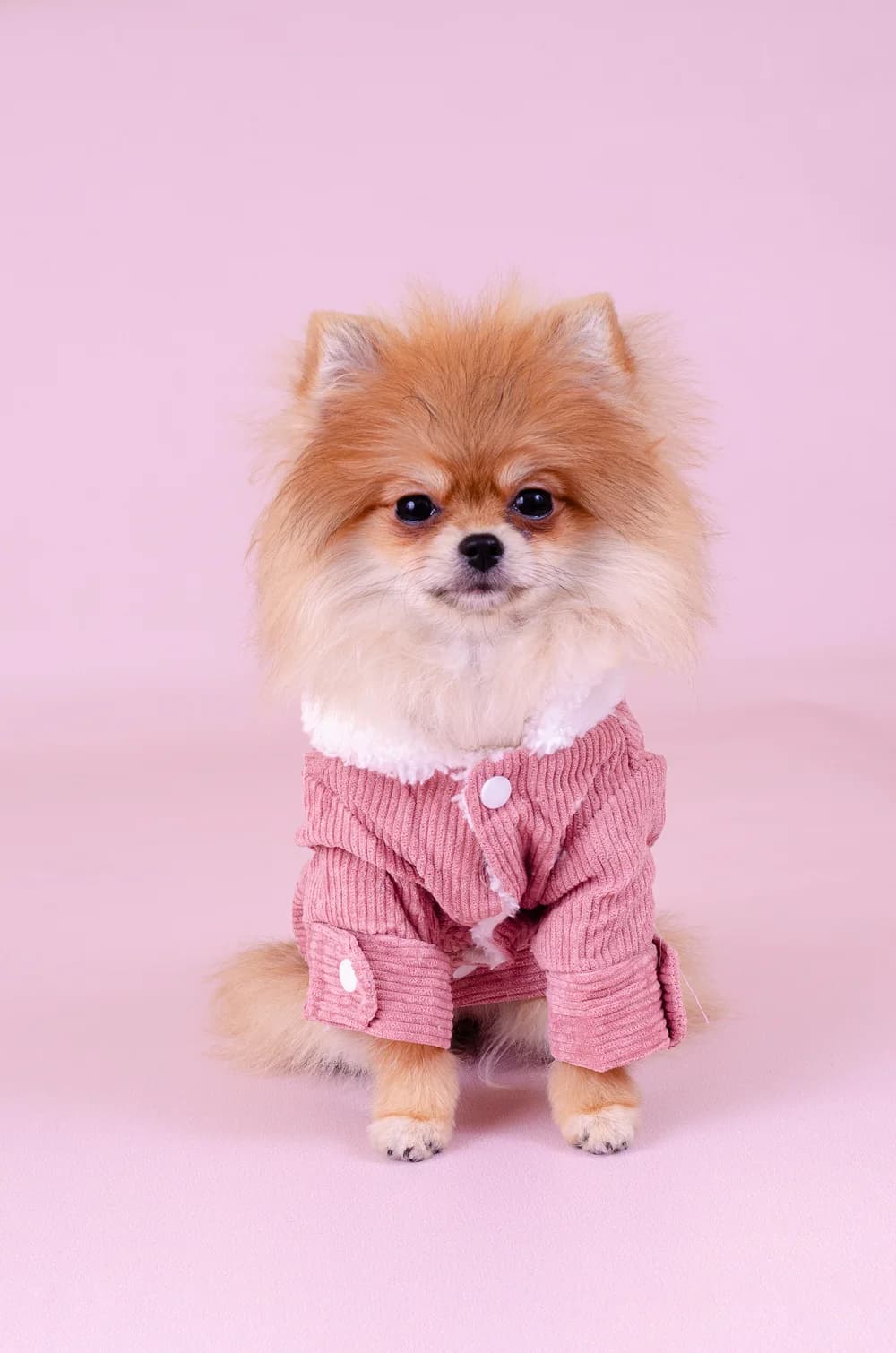 Розовая куртка из овечей шерсти XS