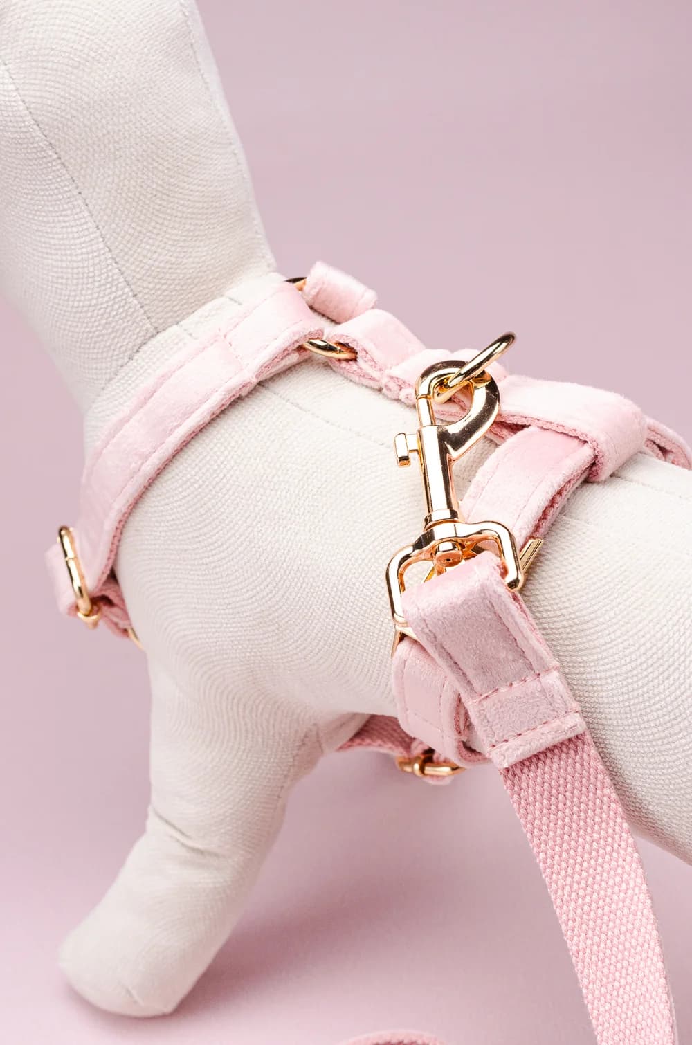 Комплект амуніції для собак шлейка + повідець 1.5м + нашийник + метелик XS (рожевий, велюр)