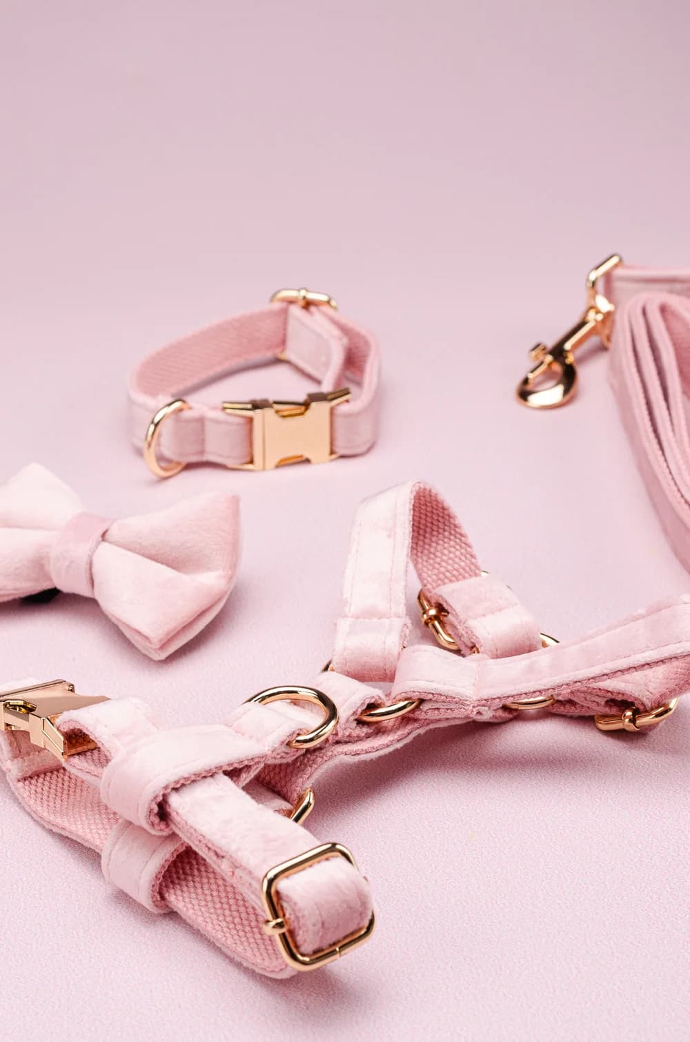 Комплект амуніції для собак шлейка + повідець 1.5м + нашийник + метелик XS (рожевий, велюр)