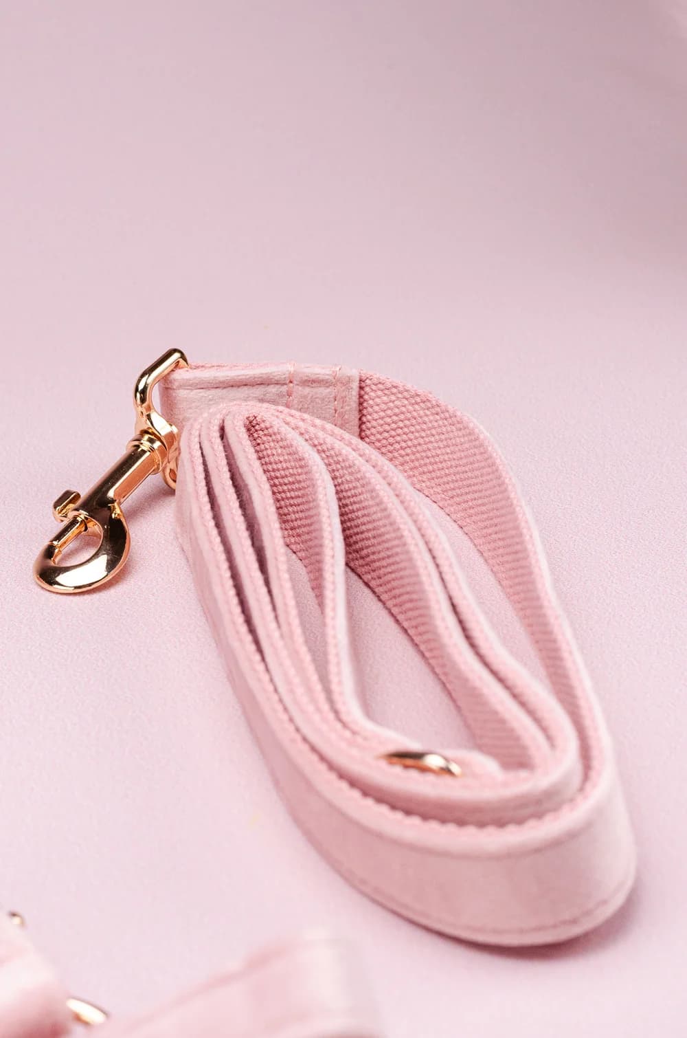 Комплект амуніції для собак шлейка + повідець 1.5м + нашийник + метелик XS (рожевий, велюр)