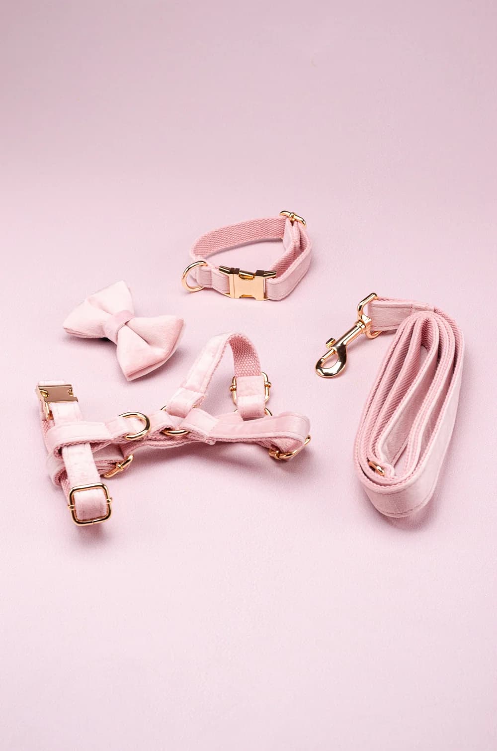 Комплект амуніції для собак шлейка + повідець 1.5м + нашийник + метелик XS (рожевий, велюр)
