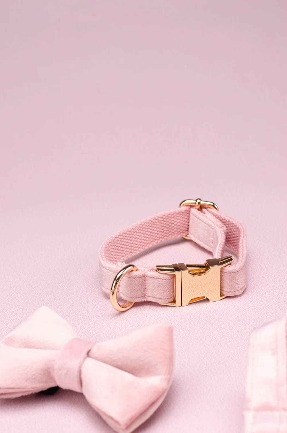 Комплект амуніції для собак шлейка + повідець 1.5м + нашийник + метелик XS (рожевий, велюр)