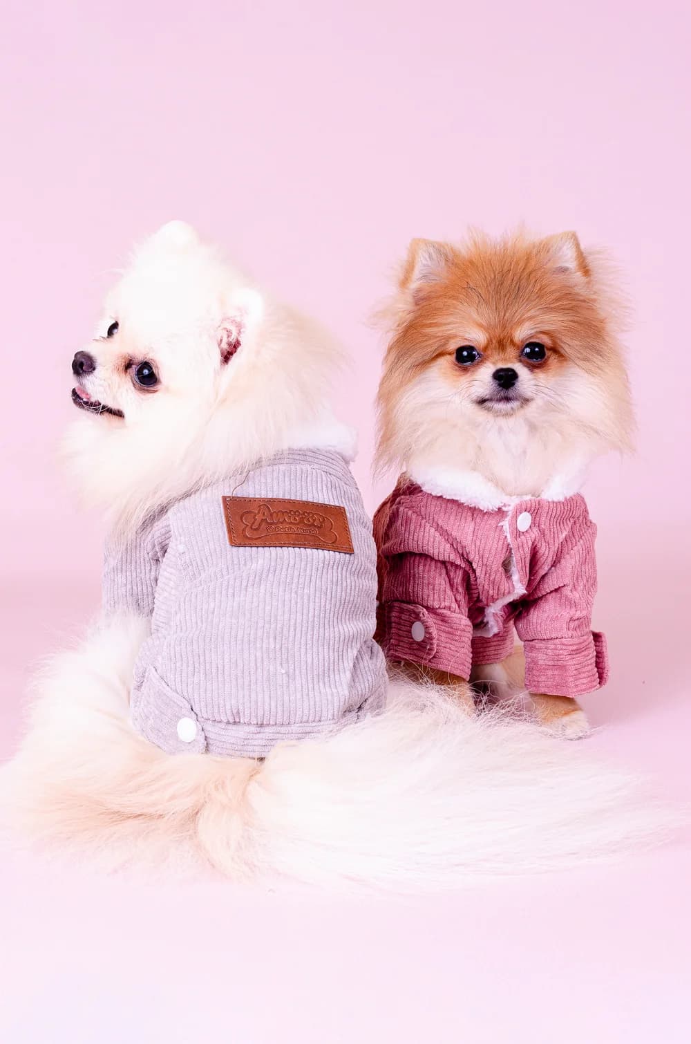 Сіра куртка з овечої вовни XS