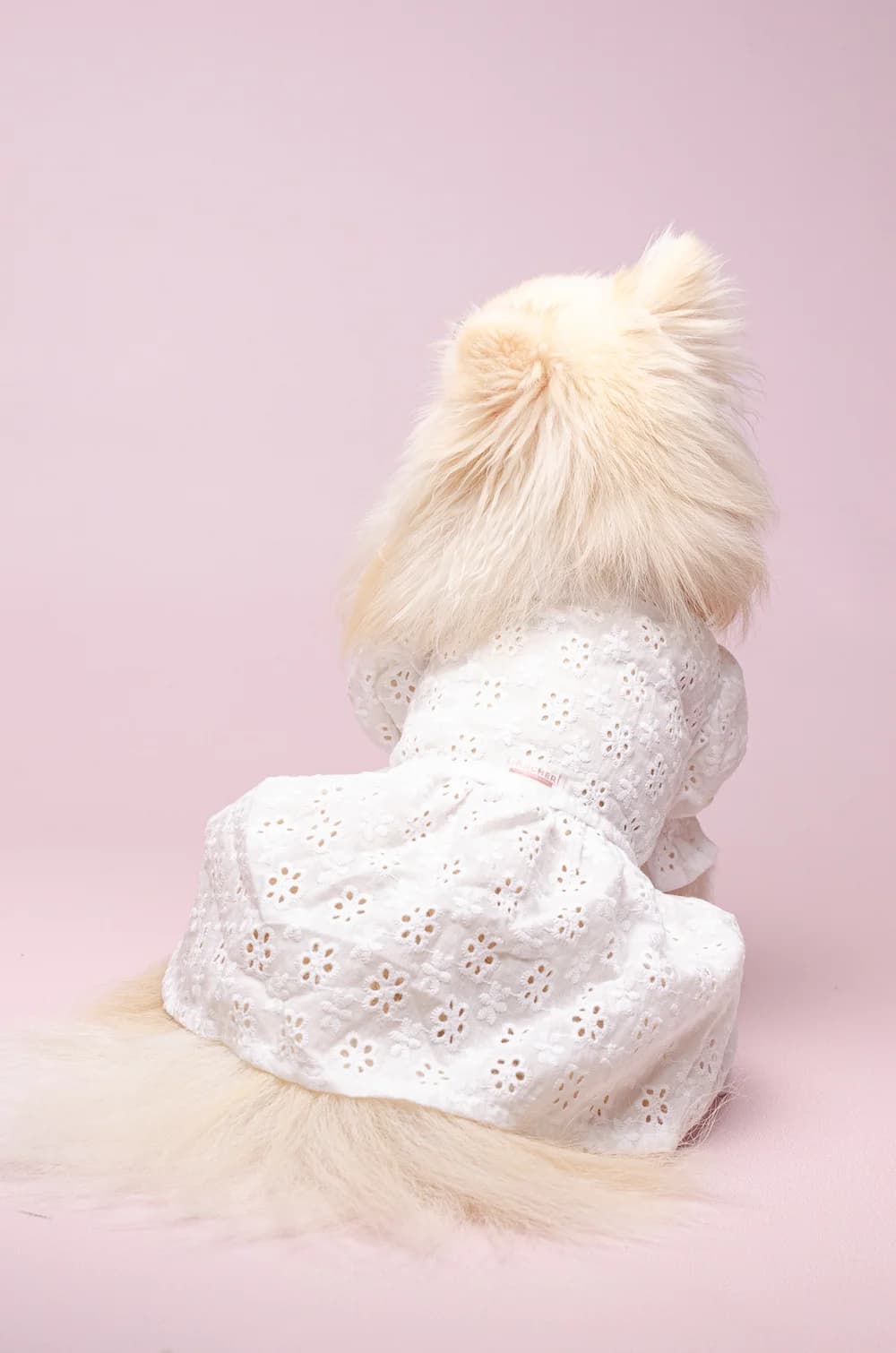 Платье для собак Елоиза XS