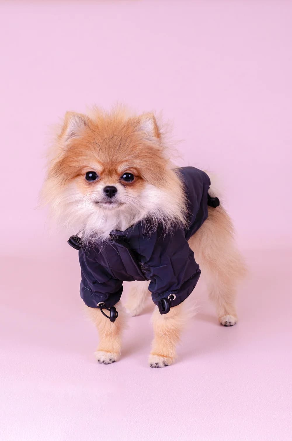 Світловідбивна куртка на флісі з капюшоном XS