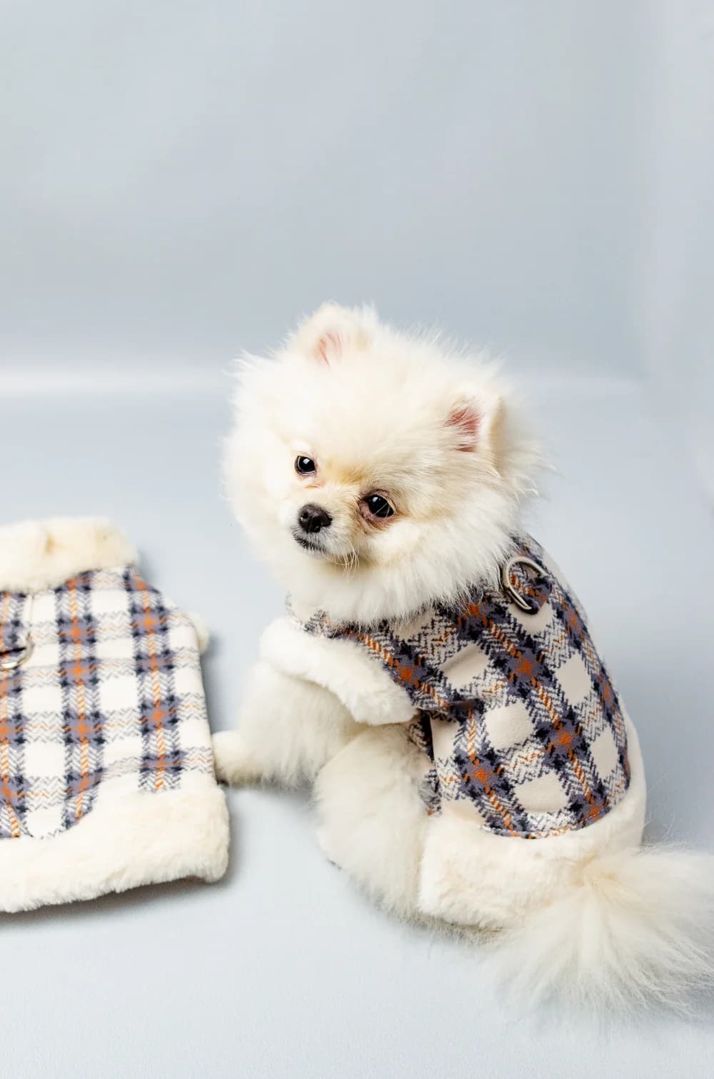 Жилетка для собак на хутрі з кільцем для повідка XS (сіра)