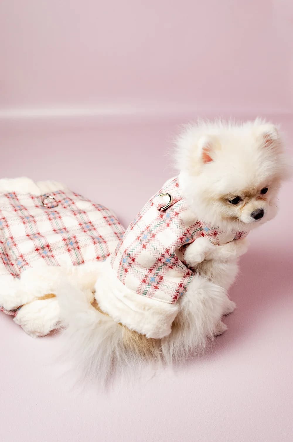 Жилетка для собак на хутрі з кільцем для повідка XS (сіра)