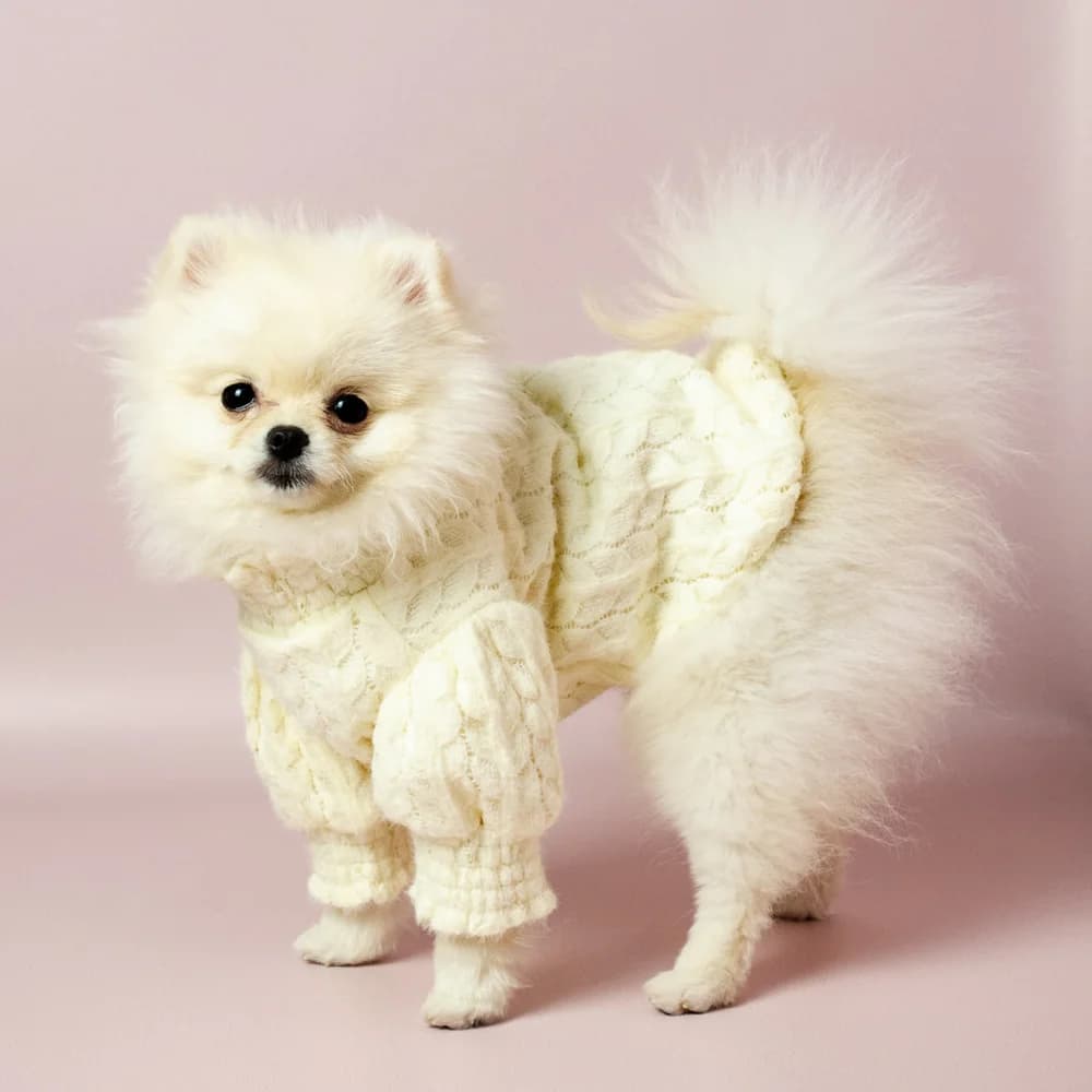 Свитер для собак теплый вязаный с подкладкой XS (бежевый)