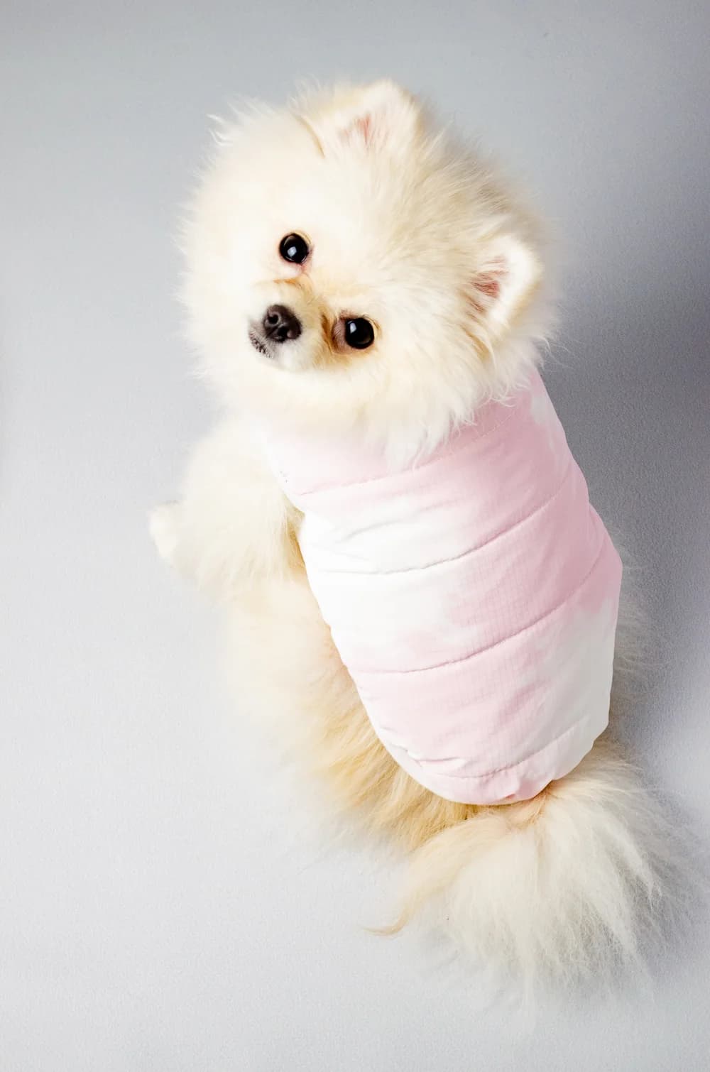 Жилетка для собак з теплою підкладкою S