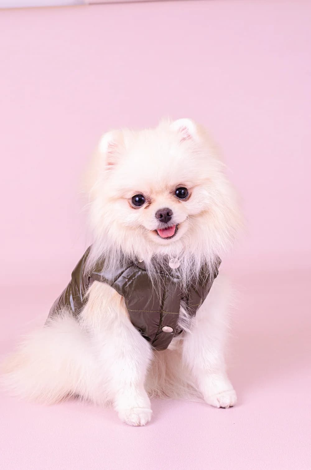 Жилет "Экспедитор" цвет хаки S