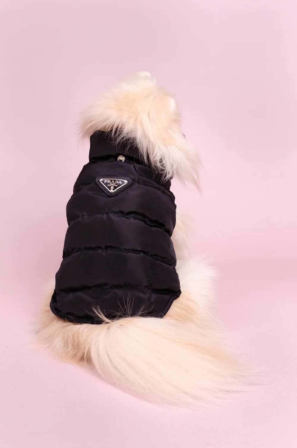 Жилетка Prada зі з'ємним капюшоном XS