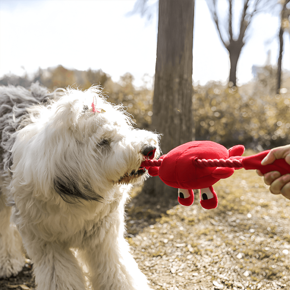 Іграшка для собак QMonster плюшевий червоний краб з пискавкою