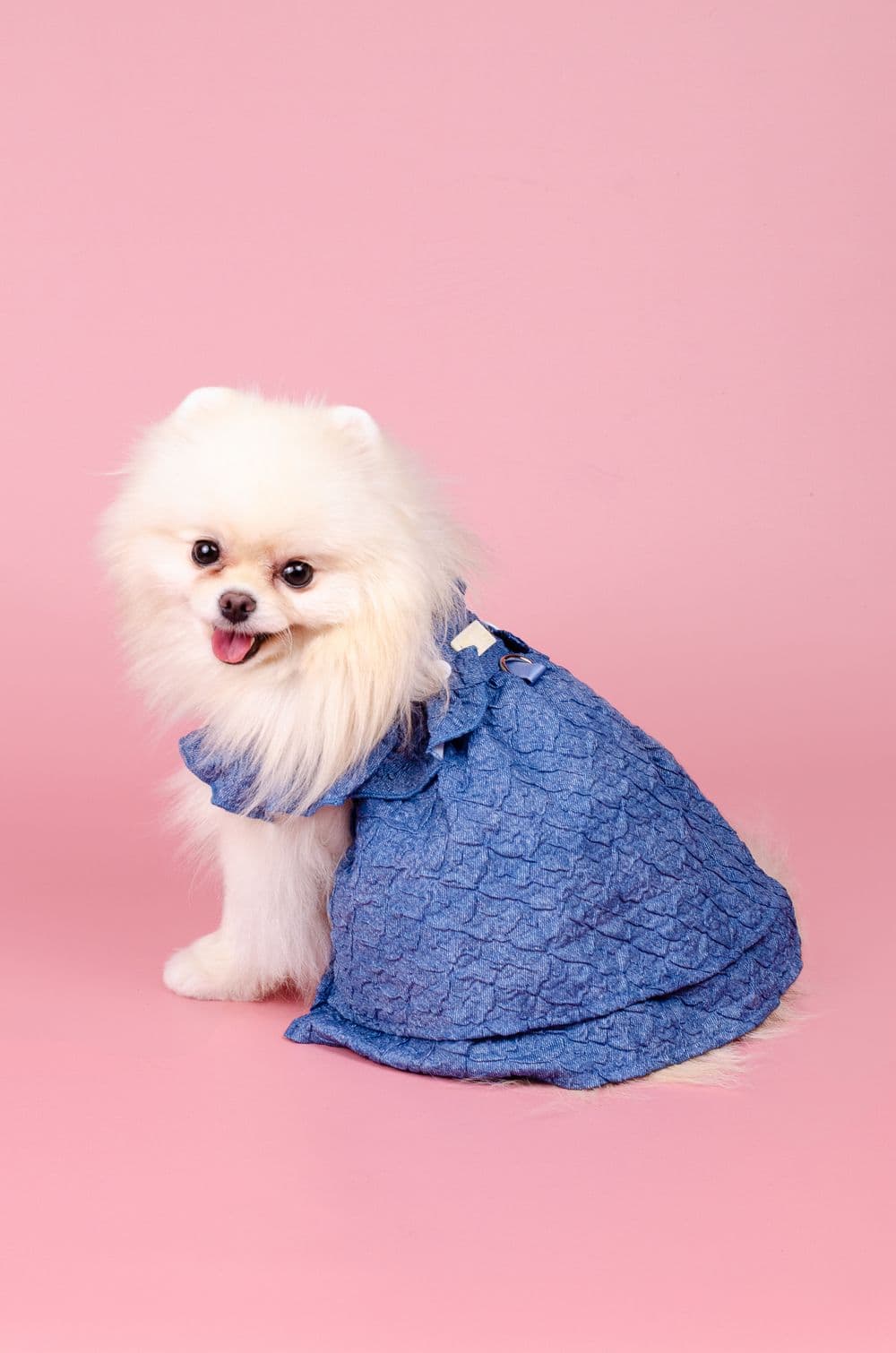 Джинсовое платье для собак XS