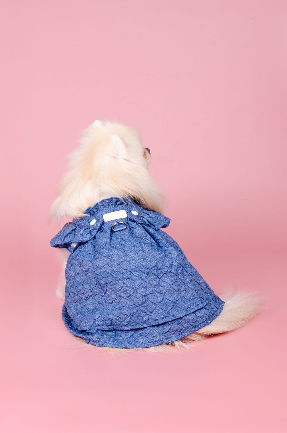 Джинсовое платье для собак XS