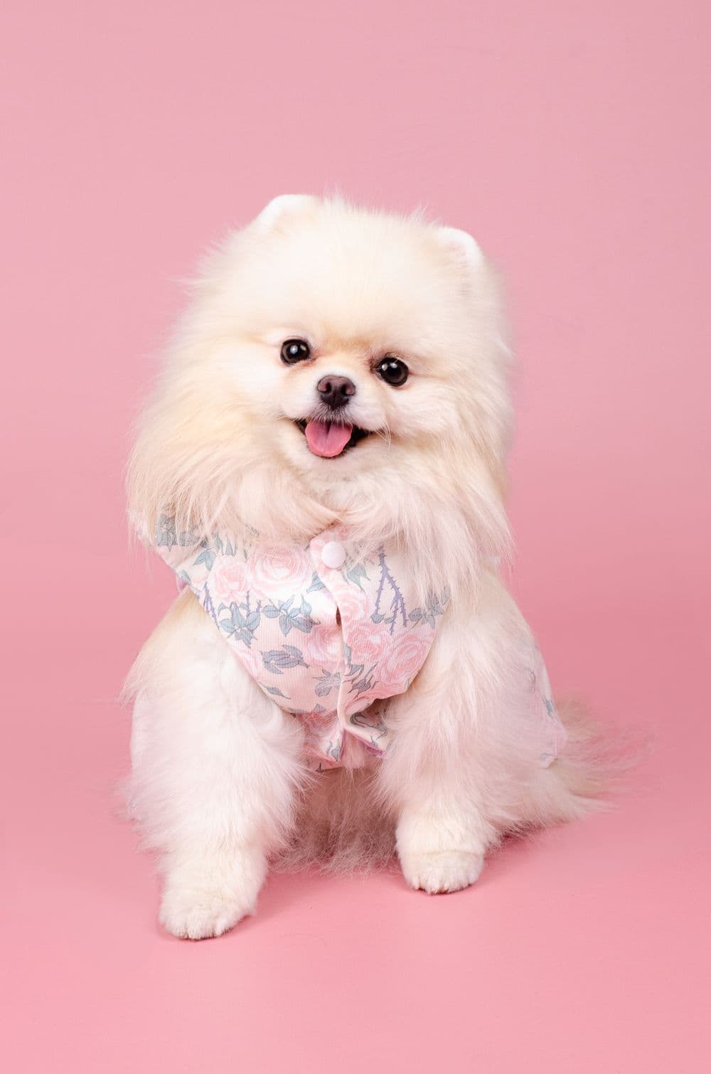 Летнее платье для собак с цветочками XS