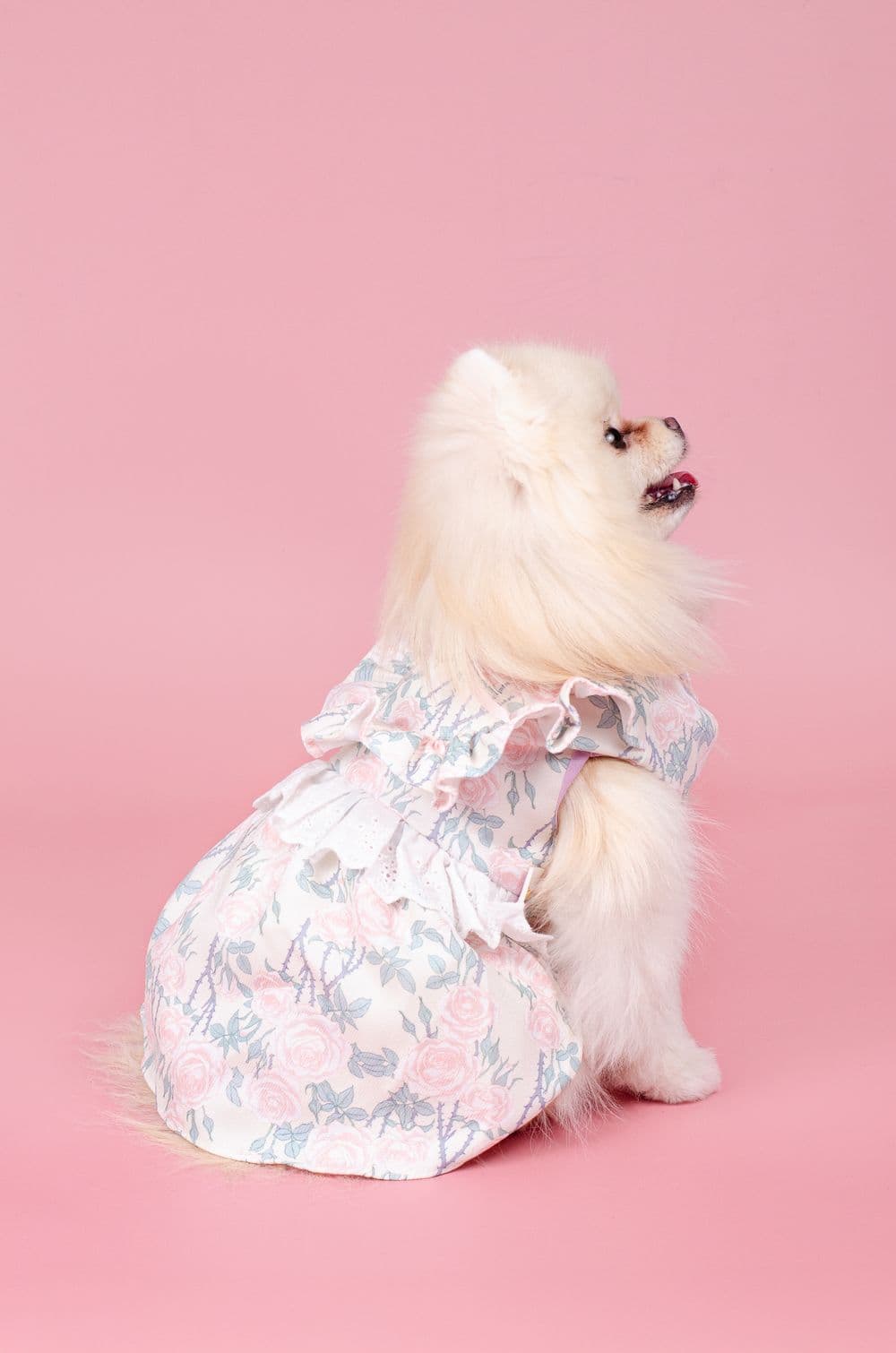 Летнее платье для собак с цветочками XS