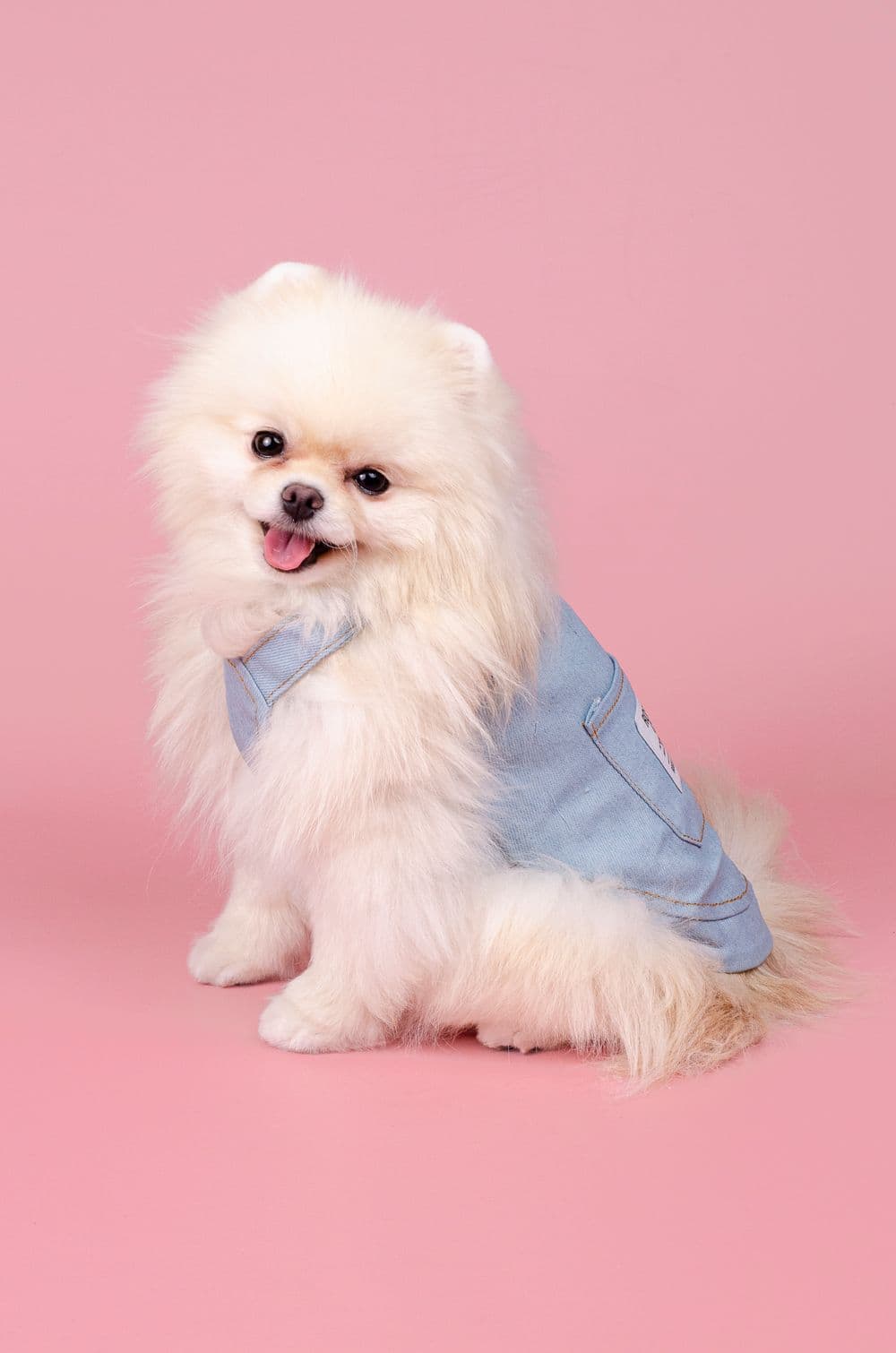 Джинсовый сарафан для собак XS