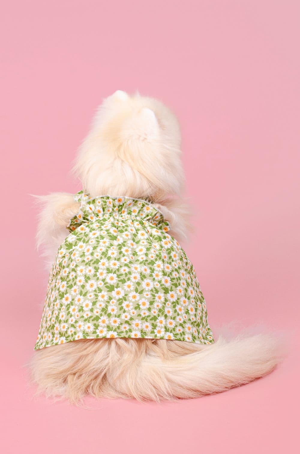 Сукня для собак з ромашками XS