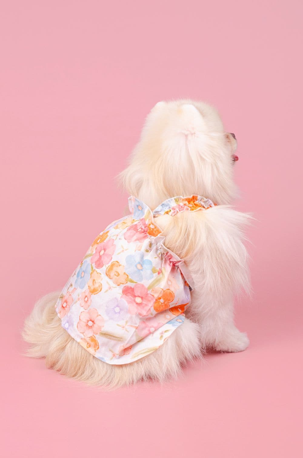 Платье для собак с цветочным принтом XS