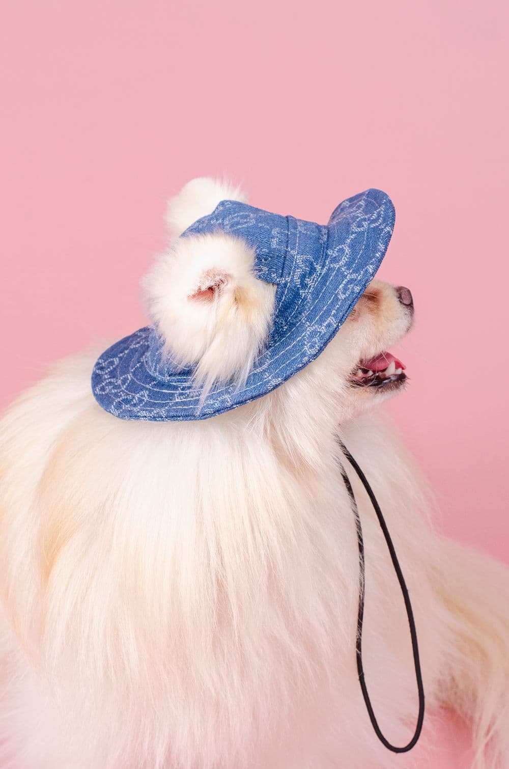 Панамка для собак в стилі Gucci M - блакитна