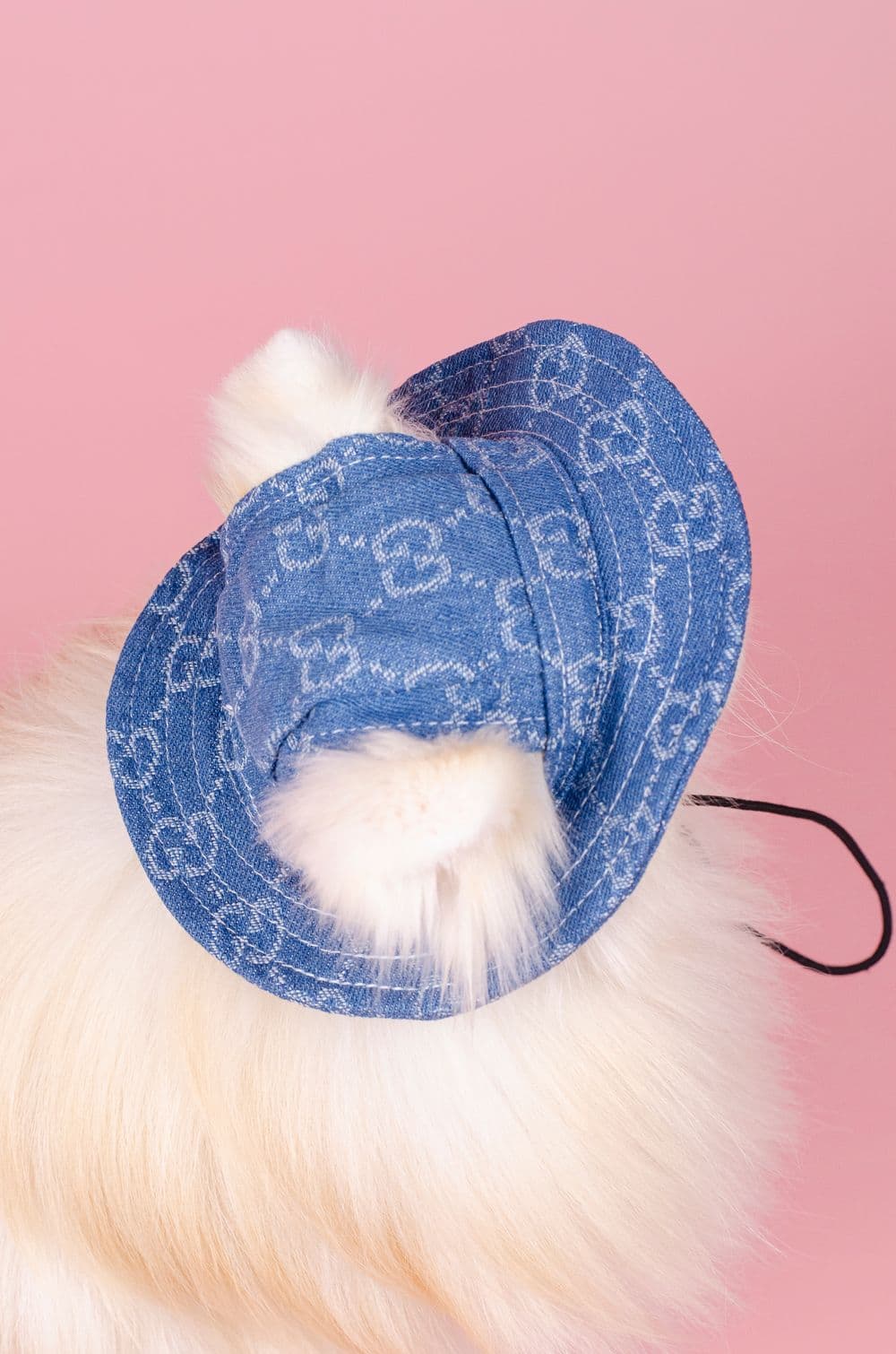 Панамка для собак в стилі Gucci M - блакитна