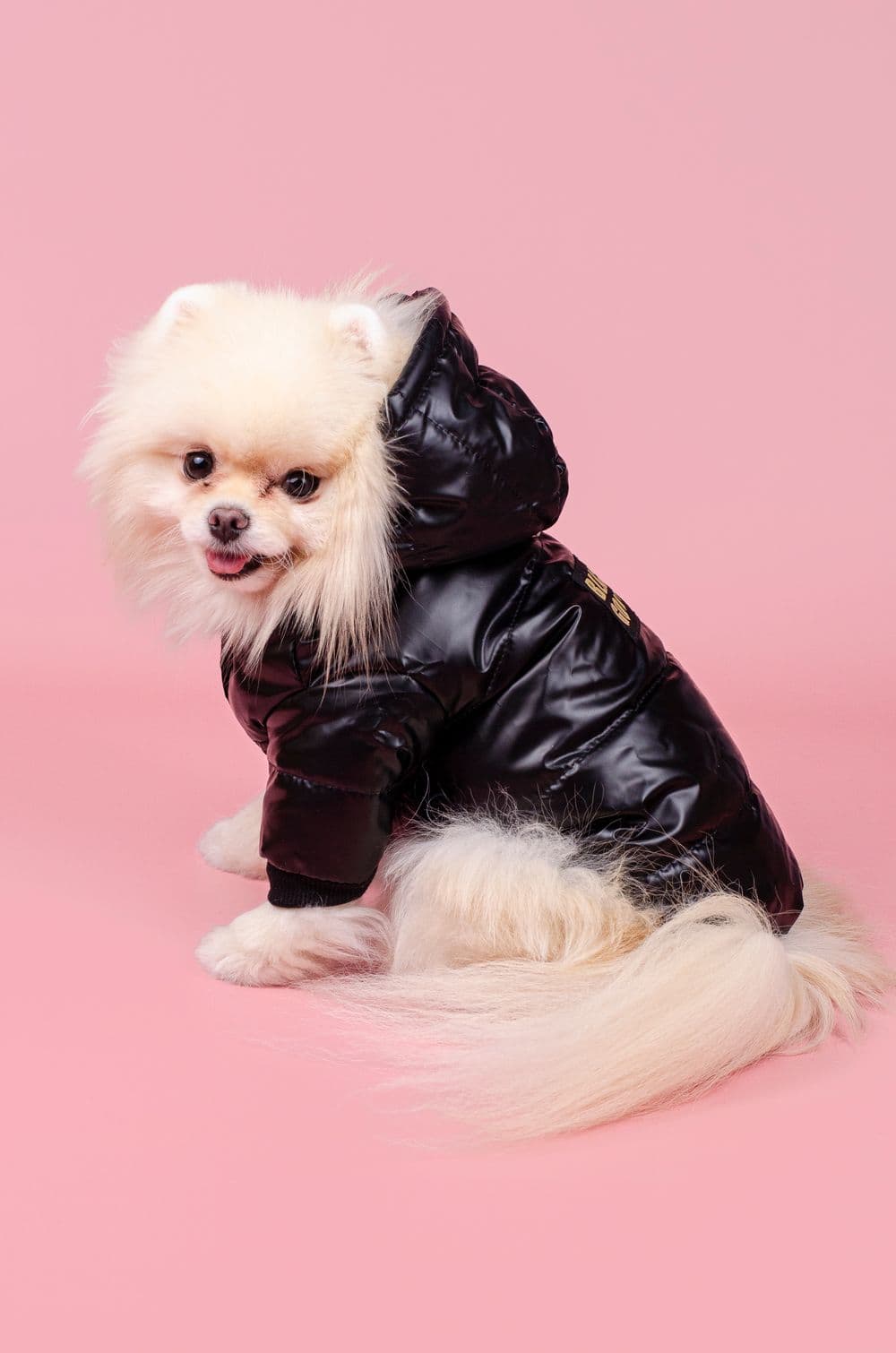 Куртка для собак HipiDog Black Gold S