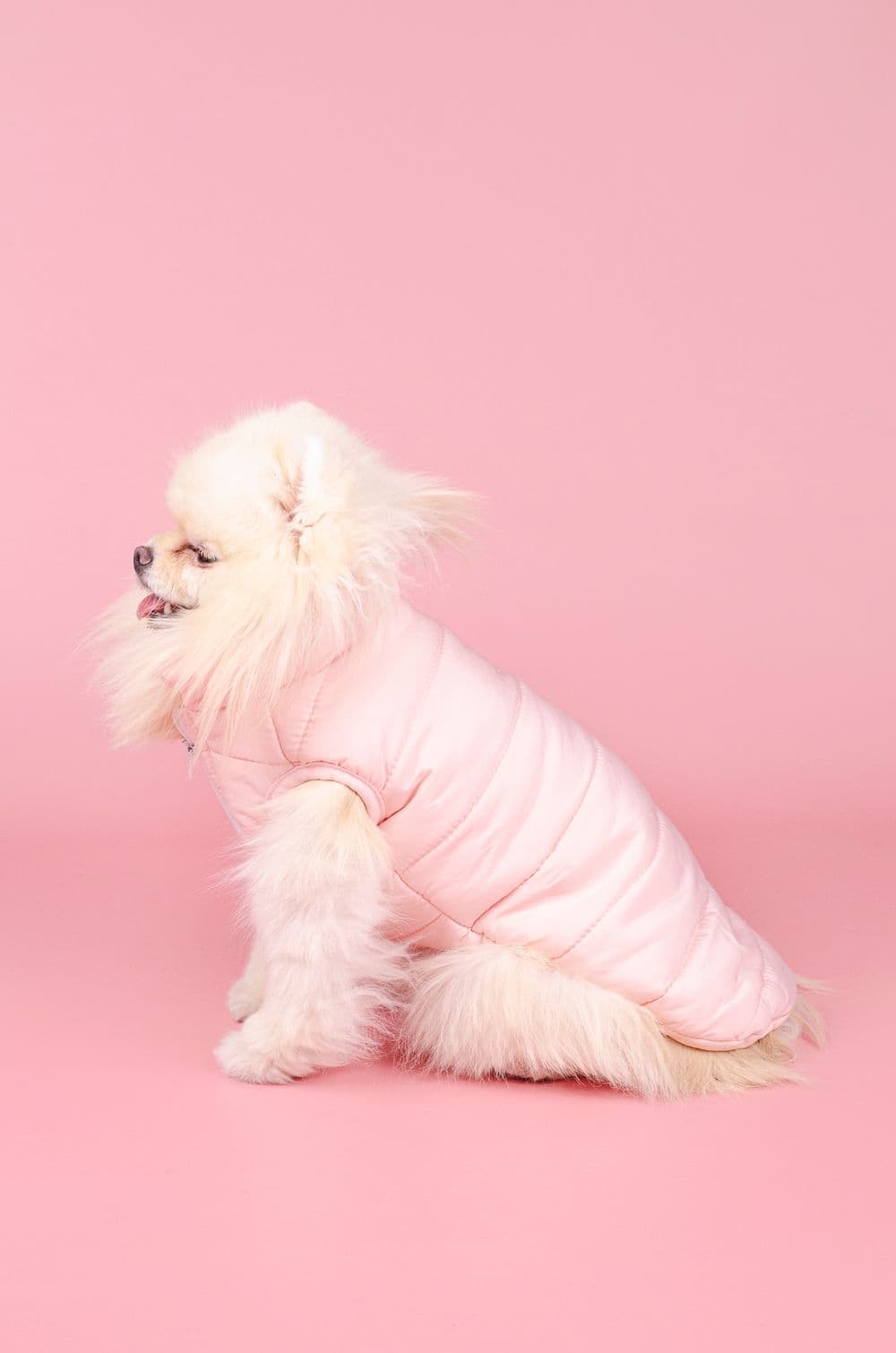 Жилетка для собак HipiDog S - голубой