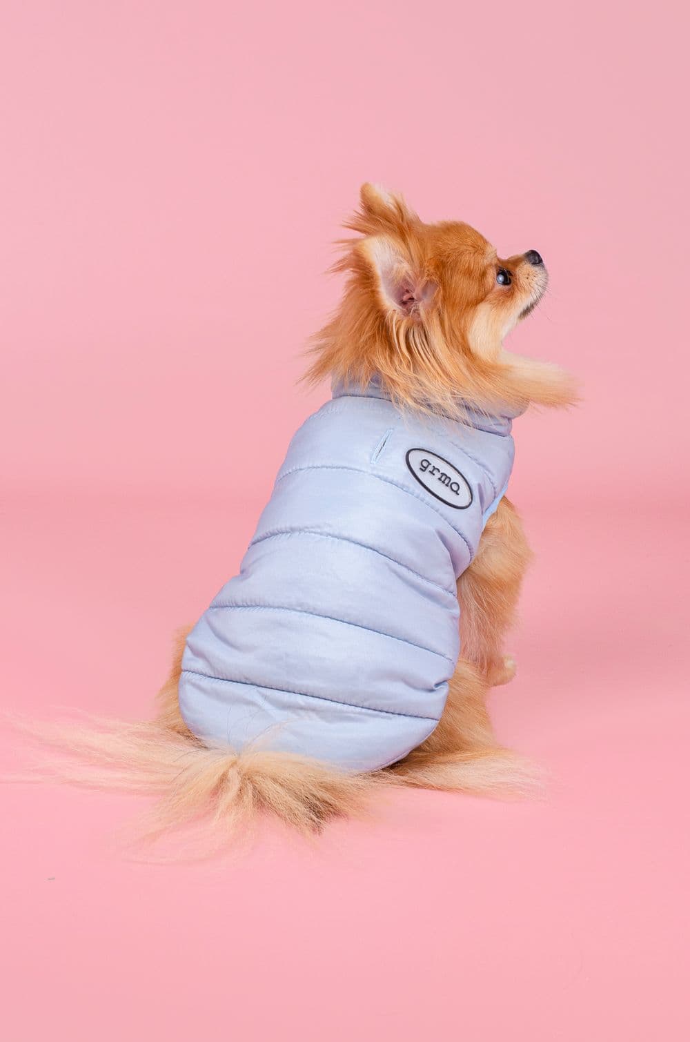 Жилетка для собак HipiDog S - голубой