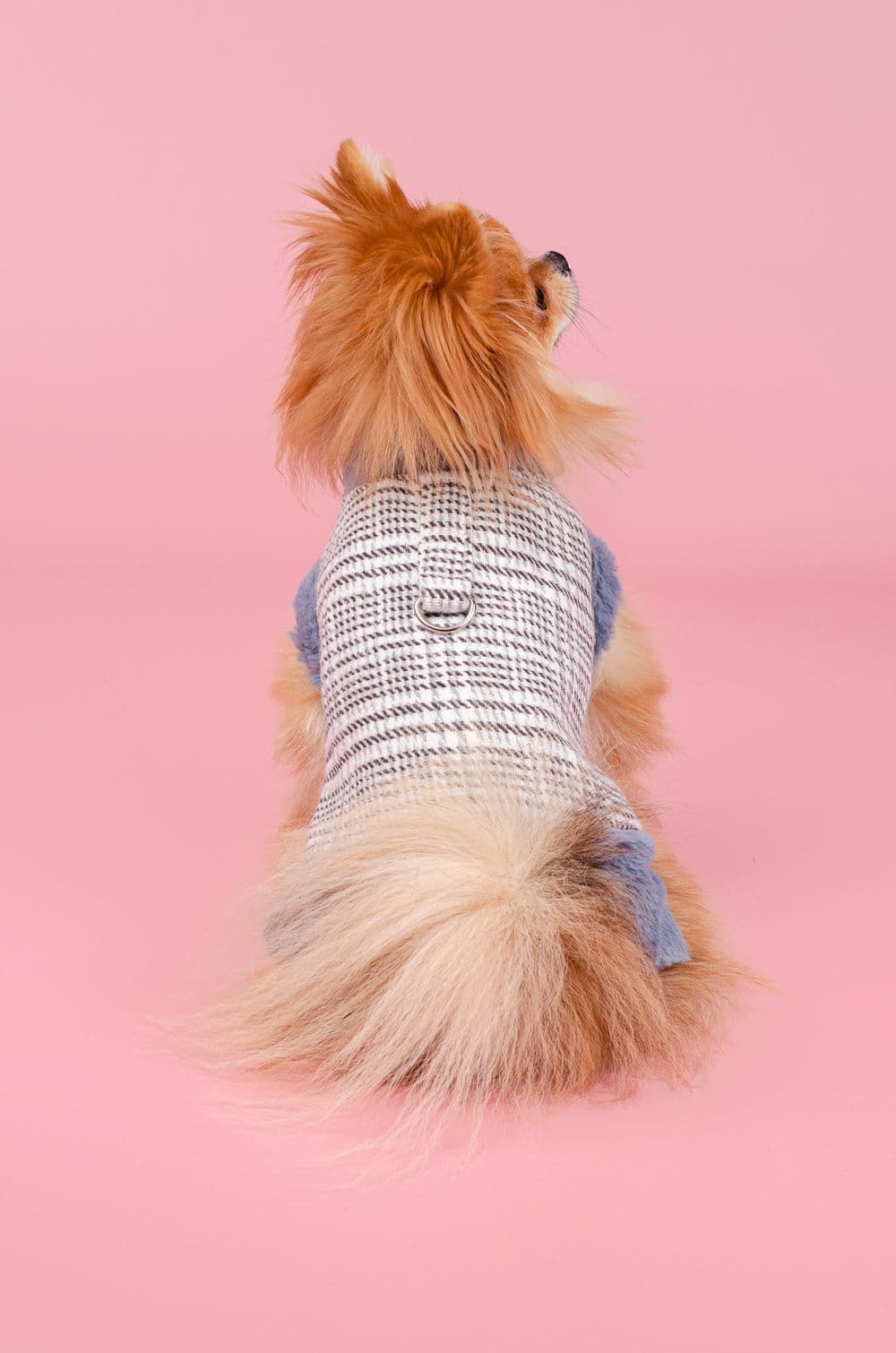 Жилетка для собак XS