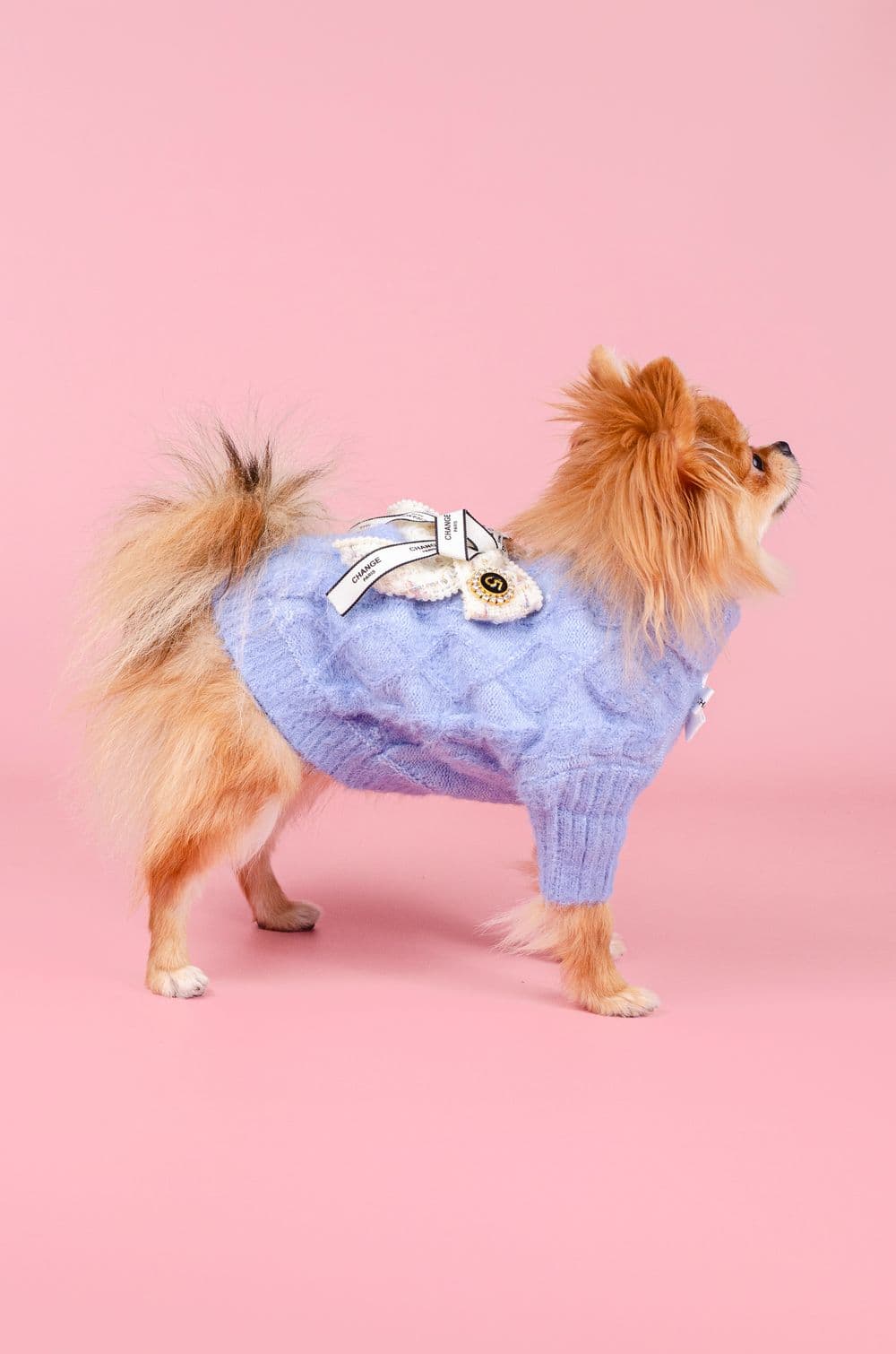 Свитер для собак Chanel XS - голубой