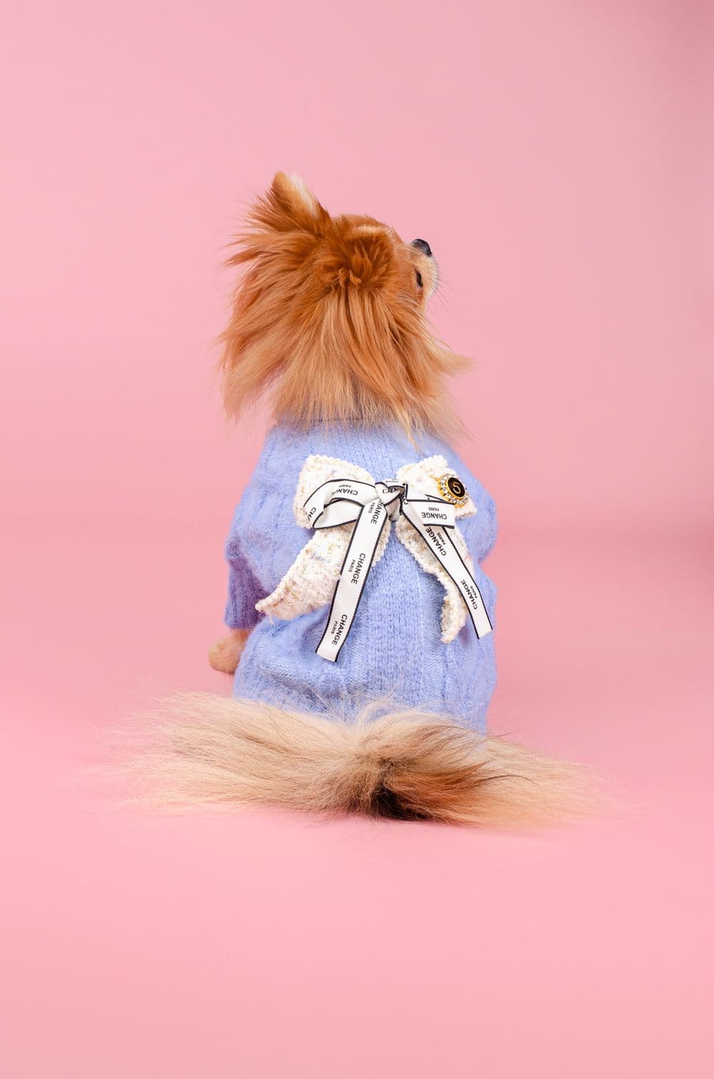 Свитер для собак Chanel XS - голубой