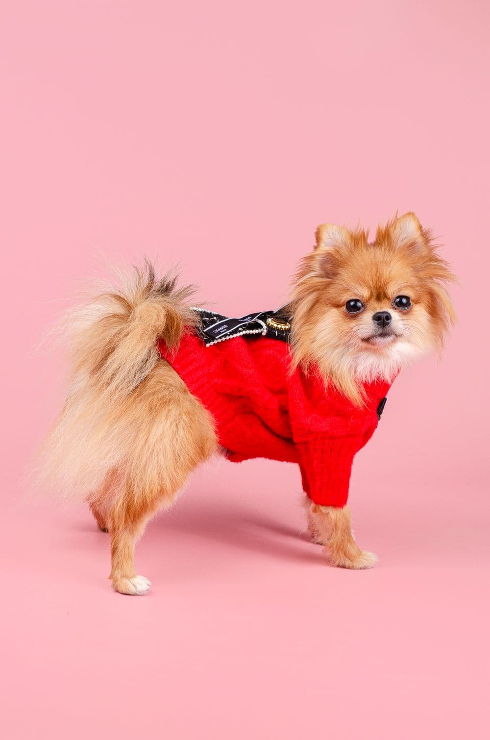 Свитер для собак Chanel XS - голубой