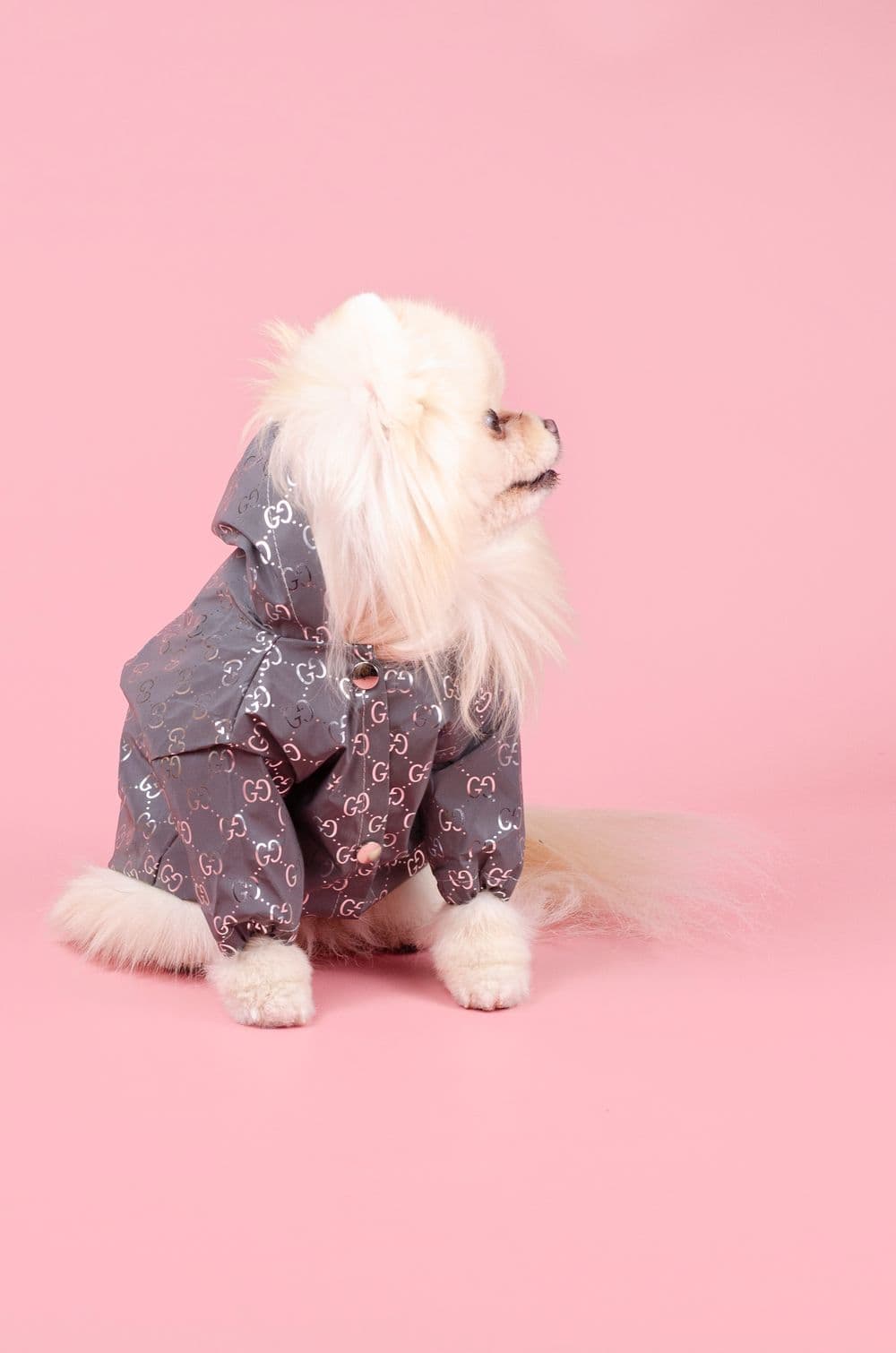 Ветровка для собак Луи Витон с капюшоном - серебряная S - серебряный